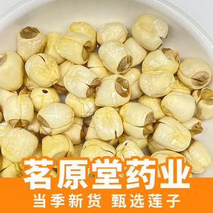 ɏ�Ӹ�؛ɢ�b500g���l����������ɏ���ք�ȥƤȥо��ș��ɏ�ӻ���