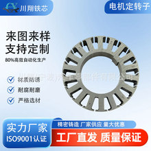 廠家直供電機轉子 硅鋼片沖壓 汽車風機及設備電機配件