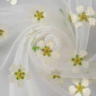 Pearl Flower Dried Flower Embossed Baffle Real Leaf Plant Specimen Bookmark Petal Makeup Embossed Table Lamp Candle Silk Fan