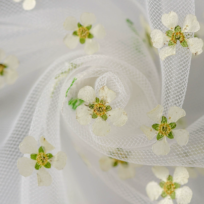 Жемчужный цветок сушеный цветок с тиснением перегородка настоящий лист растения образец закладки лепесток макияж тисненая настольная лампа свеча Шелковый веер