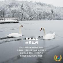 ۶儿童羽绒被学生95鹅绒被幼儿园白鹅绒5Ａ级100鹅绒被卡通宝宝被