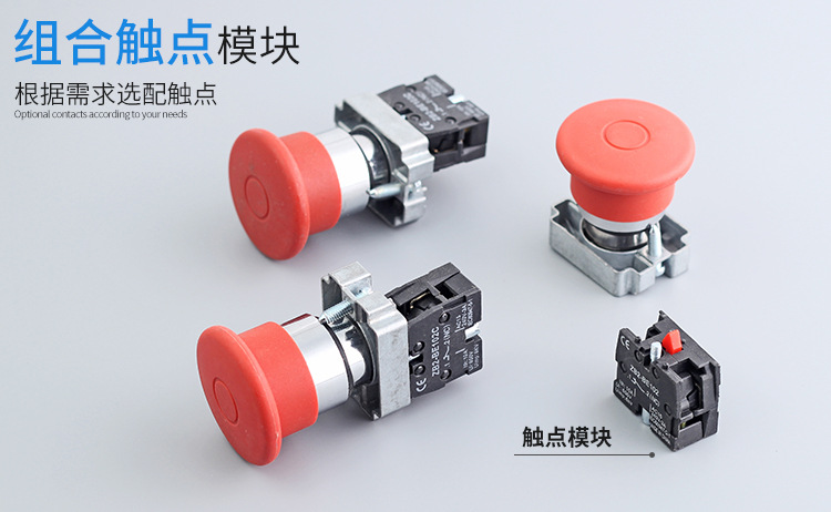 红波_06.jpg