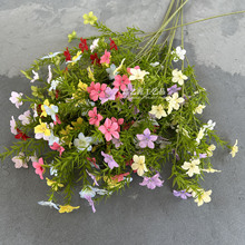 ��cСҰ����Y�ò廨�b���@���ĔzӰ�������Q����������c����