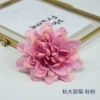 Autumn Daya-Qiu Fan