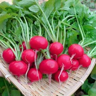 }Nˮ}ϹN̨ļԷNֲ׷N߲˷N