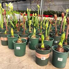 ���m�ش���피t�N���ذ��������҃��̨�����ļ�ͥԺֲ��S������