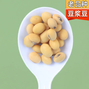 �������S���ڶ�Ě�򶹝{��������Ʒ�N�r���ԷN���D��������E�A