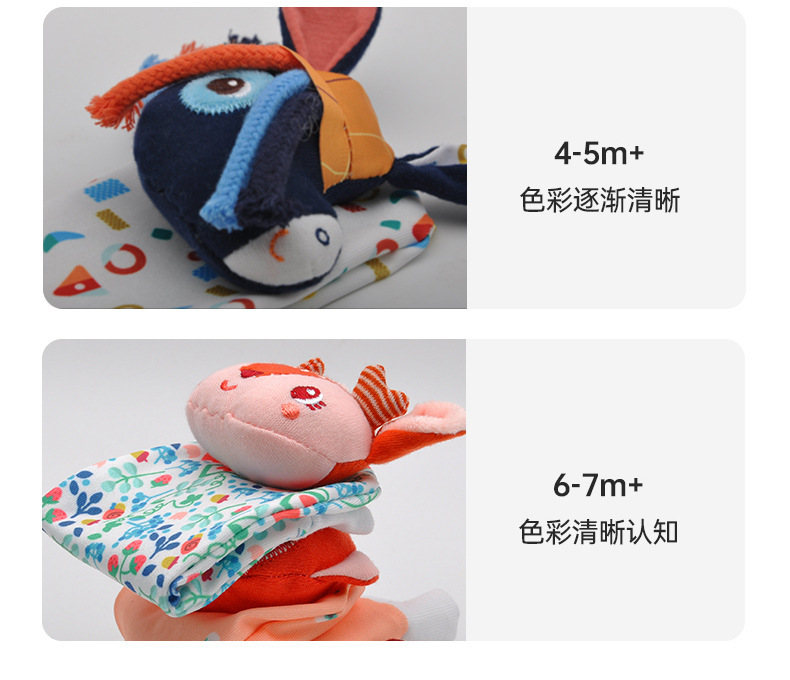 详情 (5)