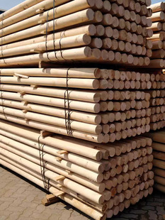 �������ľ������ľ����̼���A����ľ�����Aľ���Aľ��ԭľɼľ��