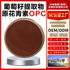 葡萄籽提取物95%原花青素OPC水溶性新食品原料可批发零售当天发货