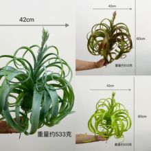 ����ֲ�� ɳĮ����ֲ���ش�����՚�� �P�� ����ֲ�� �b����l