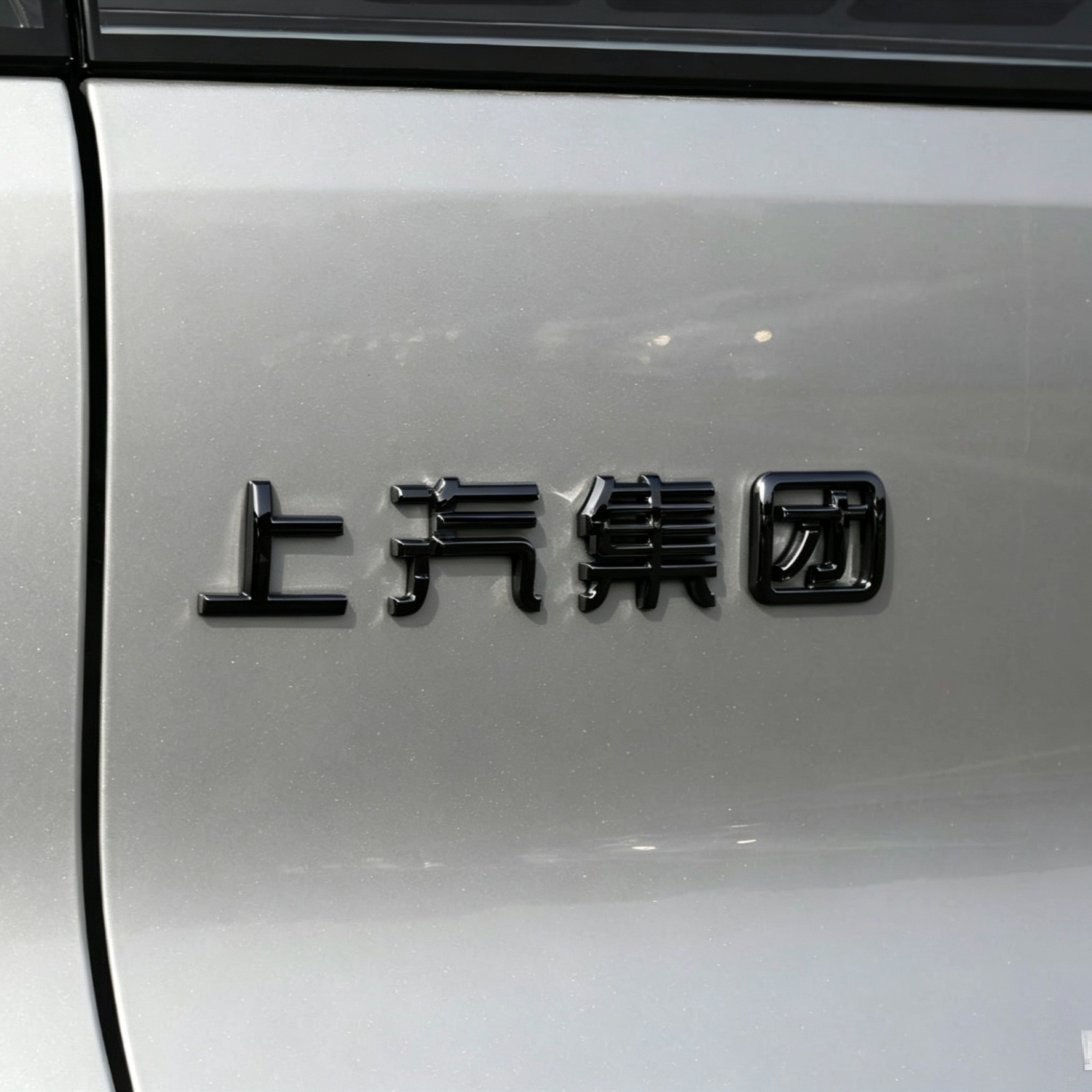 Suitable for Zhiji LS8 LS9 front and rear car emblems, Black Warrior modification upgrade personalized car emblem decorative stickers