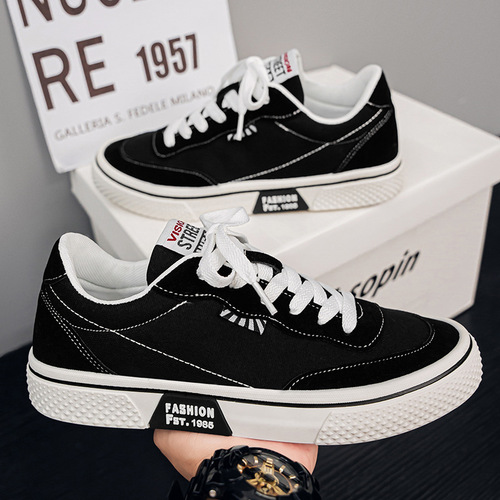 Canvas Shoes for Men and Women - 2025 Spring New Casual Matchable Breathable Fashion Trendy Youth Shoes