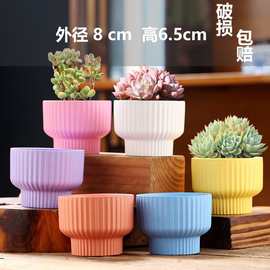 多肉花盆陶瓷德化批发盆栽创意盆粗陶拇指多肉植物小花盆
