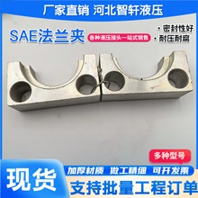SAE���m�A���_�߉��͹�SAE���w���w���_���mFSҺ�����m�A֧�ֶ���
