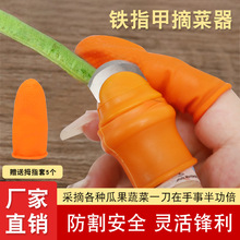 ��ë��������������ȥƤ������ժ�����˓��℃�˰�����ָ��������