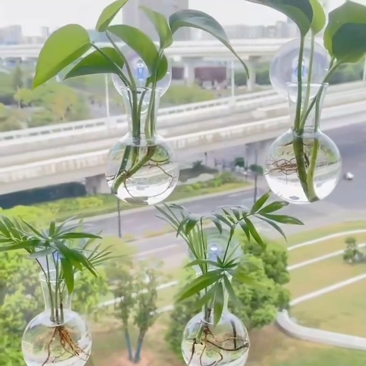 現代壁掛け式水培花瓶透明水養生け花壁に植木鉢緑羅水培器植物装飾|undefined