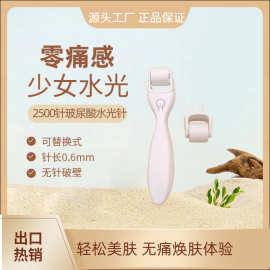 工厂热卖玻尿酸可溶性微针无痛滚针水光针家用美容仪补水促进吸收