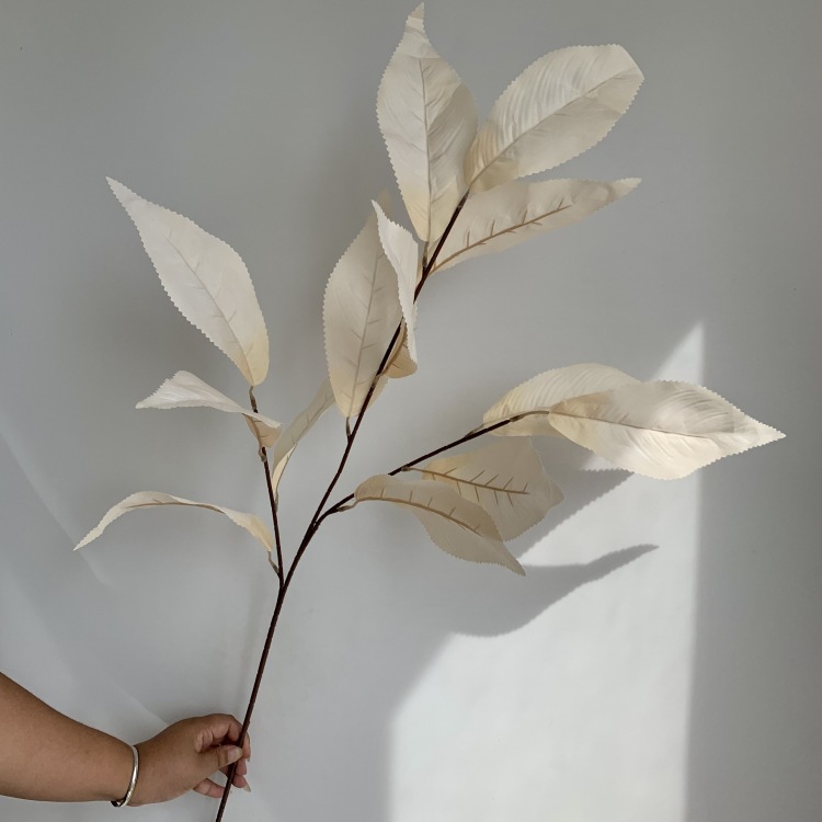 微信图片_20230920144406_副本