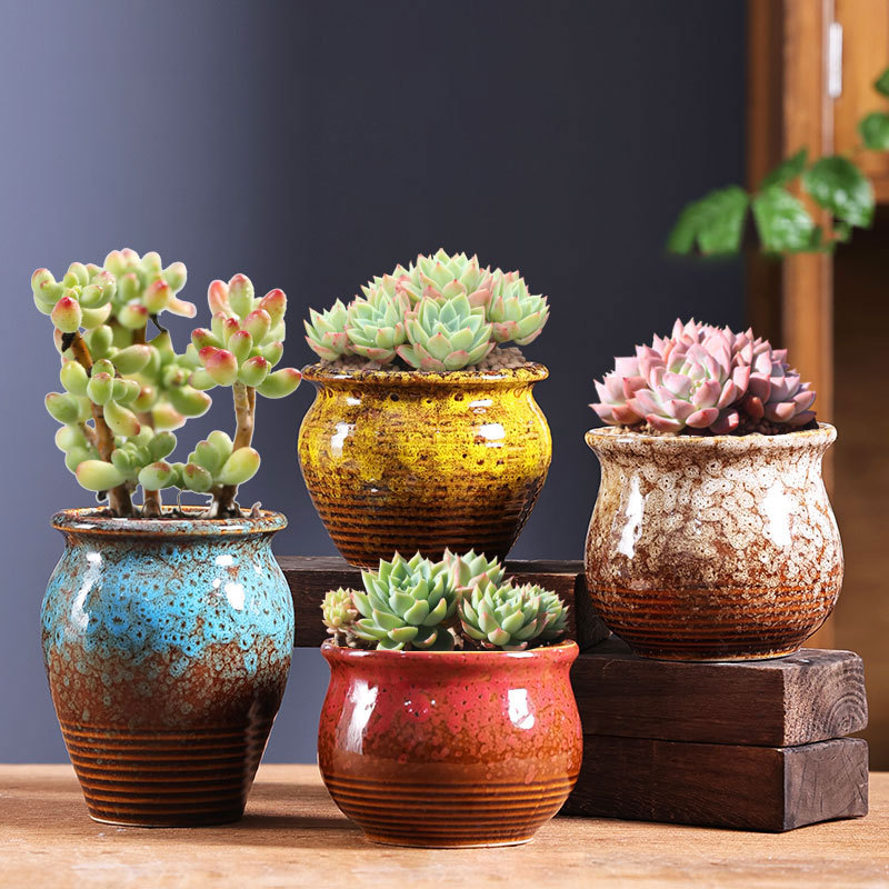 Pavo real pantalla abierta suculentas olla de cerámica especial grande pequeño tamaño carne hogar arcilla suculentas maceta fábrica directa al por mayor