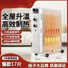 揚子取暖器家用電暖器電熱油汀電暖氣速熱節能省電油丁烤火爐廠家