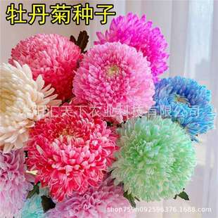 ���羳��؛��ĵ���շN�ӽ�ĵ�����ļ��_�����g���F���໨�ɾջ��N