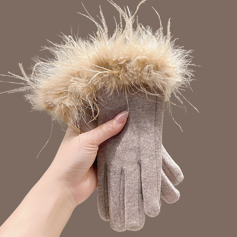Warm Wool High-End Plush Gloves for Women in Winter, Fleece-Lined for Warmth, Suitable for Driving and Cycling, Thick and Stylish