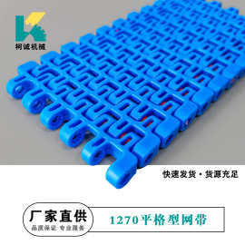 1270网带链12.7节距POM塑料输送链板网链传送带网孔平格型网带链