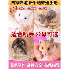 С�}������ë��z��һ��һĸ�ς}�y���ͻ\��ľм��z�ܼ��B����