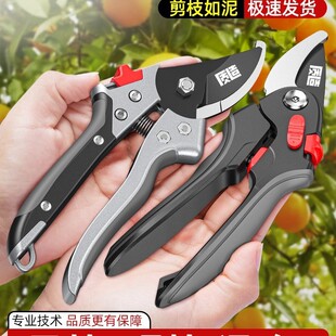 质造修枝剪园艺果树修枝剪刀摘水果花卉盆景剪粗枝绿化小剪子-阿里巴巴