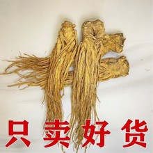 【包邮】中药材 当归个 当归个子整条当归头片当归片黄芪党参岷县