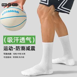 Venta especial de la industria de calcetines de Zhuji, calcetines a bajo precio, calcetines al por mayor, calcetines de verano para hombre, calcetines largos para mujer, calcetines unisex para viaje
