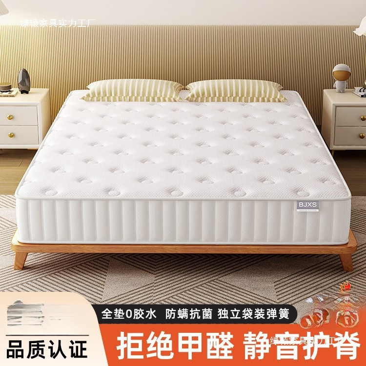 Simmons Spring Mattress 20cm Thick Hard Coconut Palm for Rent 1.5m Hotel Home Bedroom Latex Cushion