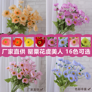 ��c���滨���ڻ� 4�^�����˽�������ֲë���ڻ��b�����ܛ�b