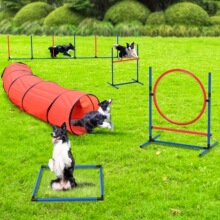 Z 94200 Dog Agility Training Kit ��������ѵ����װ ����