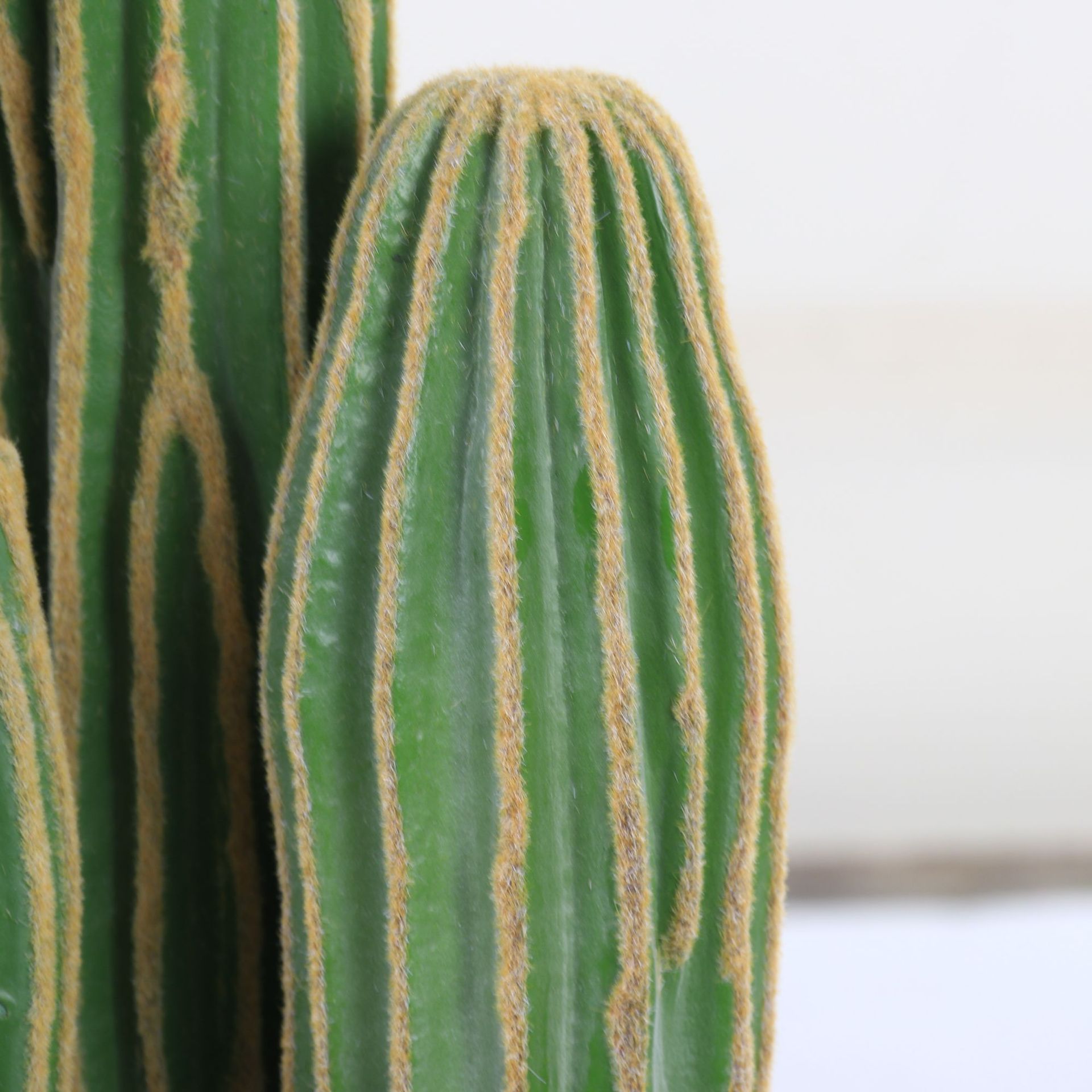 Cactus del desierto interior simulación cactus de aterrizaje decoración paisajística ventana de planta falsa arena del centro comercial image 3