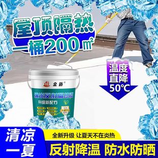 Thermal Reflective Insulation Coating Roof Cement Surface Waterproof Cooling Paint Water-Based Nano Hollow Glass Microbead Paint