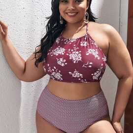 2025新款欧美外贸跨境大码肥婆度假复古印花性感分体泳衣女套装