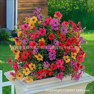Դ�^�S�ұ��������ͷ������_�m�͕���g�[�Ż��������b���Gֲ
