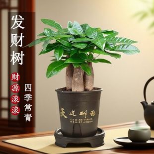 �lؔ�������҃ȿ͏d�Gֲ���滨����ʽ�U���\ֲ���ļ�������B���S