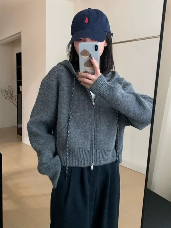 气质休闲连帽加厚短款开衫2025秋冬新款韩版淑女风显瘦上衣针织衫|undefined