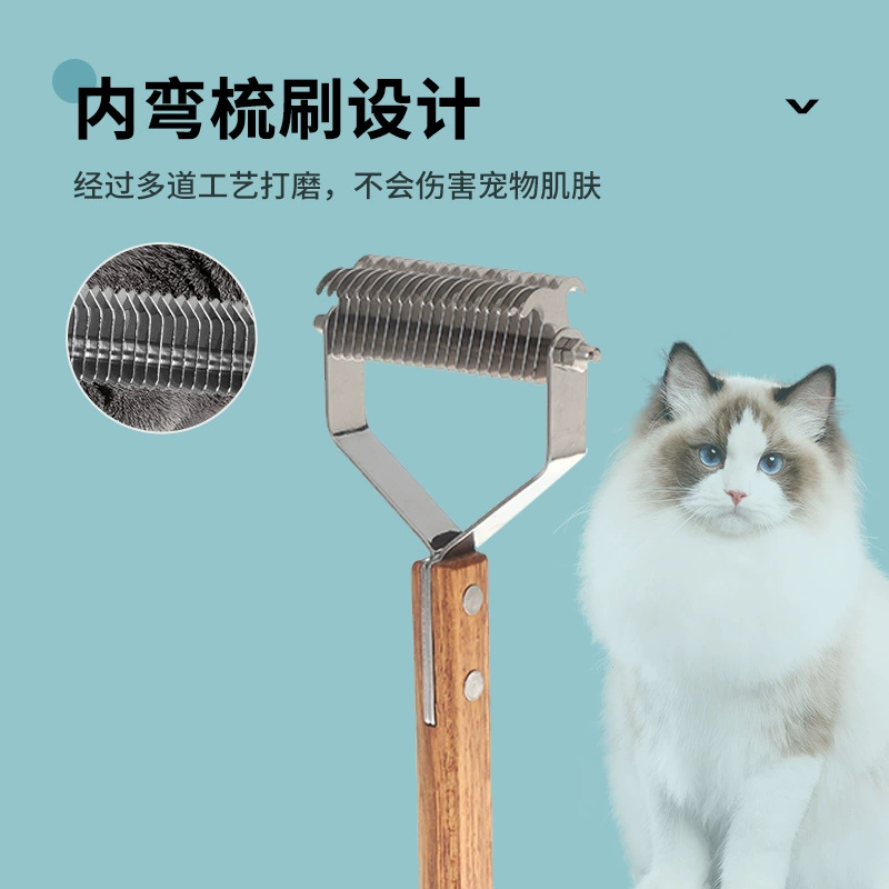 Домашняя кошка расчесывает волосы расчесывает волосы