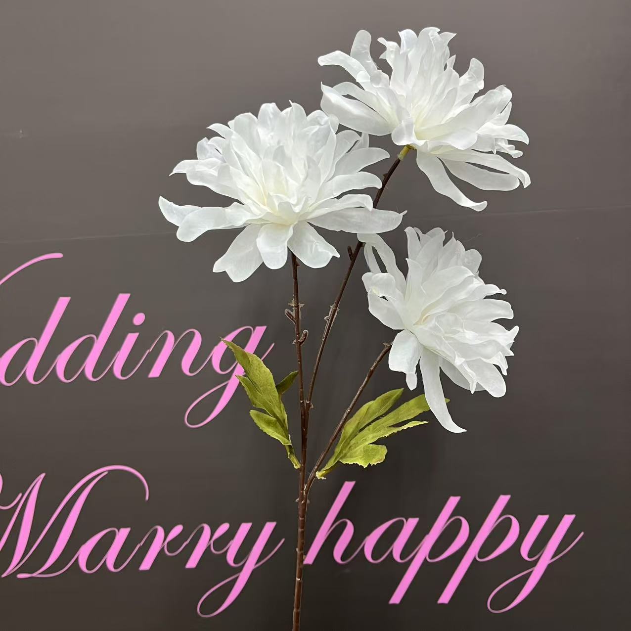 微信图片_20250108100603