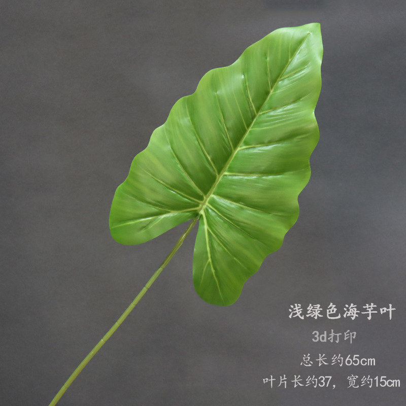 Hojas de taro verde claro