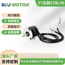 S57BL45-230ֱoˢ늙C24V17W3000DtеƷƏS