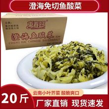 ����~�������ڳκ��~���20��/��|���������ω�����~�������