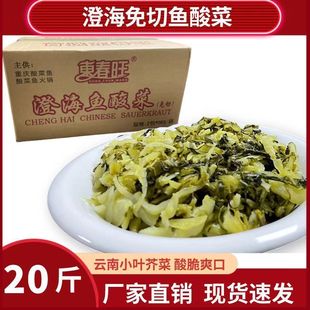 ����~�������ڳκ��~���20��/��|���������ω�����~�������