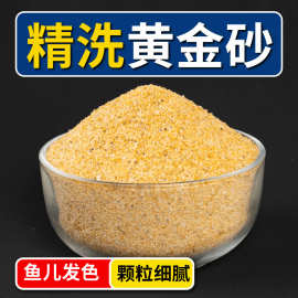 精洗黄金沙南美三湖鼠鱼底沙细河沙天然化妆沙水草砂鱼缸造景底沙