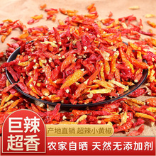 �ݽ��S�������������ԮaҰɽ�r�ҽ��G�t����������������