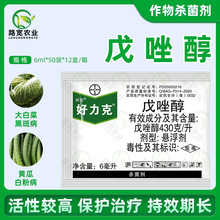 ���ݶ� ������ ���� �ڰ߲��׷۲����ǲ����~���rș������6ml